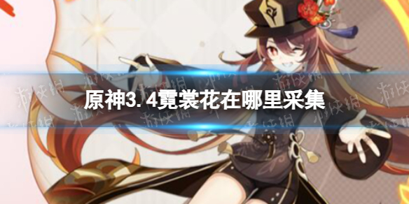 《原神》3.4霓裳花在哪里采集-3.4胡桃突破材料采集路线