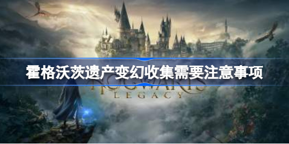 霍格沃茨之遗变幻收集需要注意什么 霍格沃茨遗产变幻收集需要注意事项