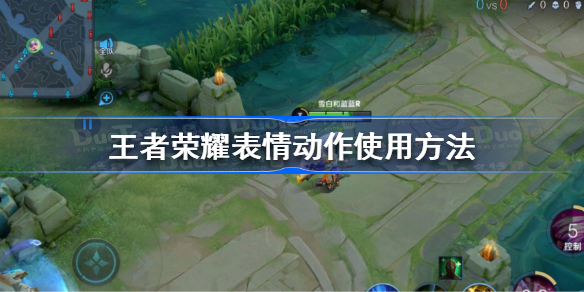 王者荣耀表情动作怎么用 王者荣耀表情动作使用方法