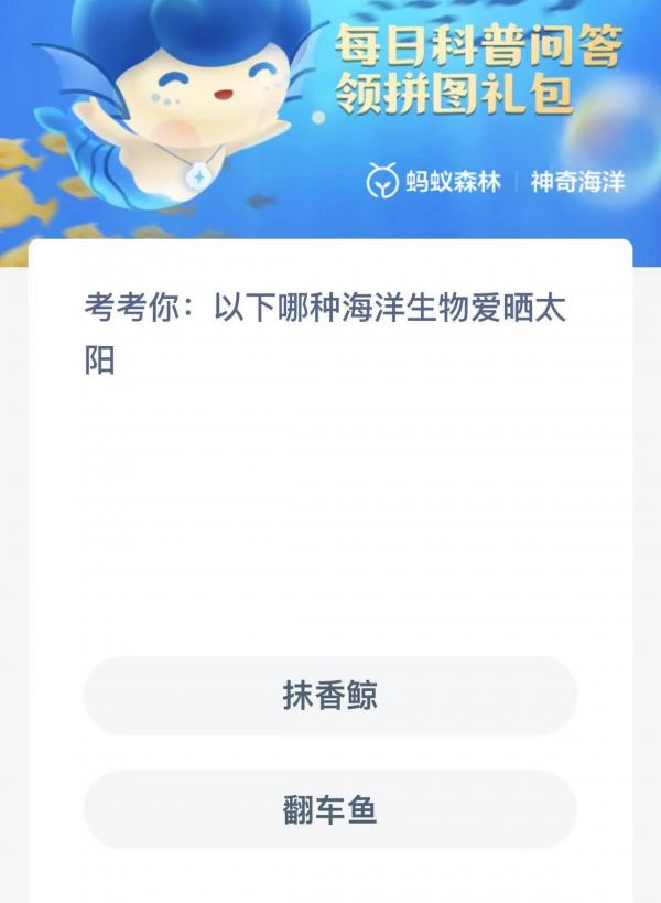 以下哪种海洋生物爱晒太阳