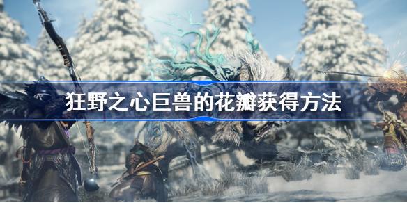狂野之心巨兽的花瓣怎么获得 狂野之心巨兽的花瓣获得方法