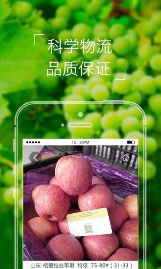 本来果坊图4