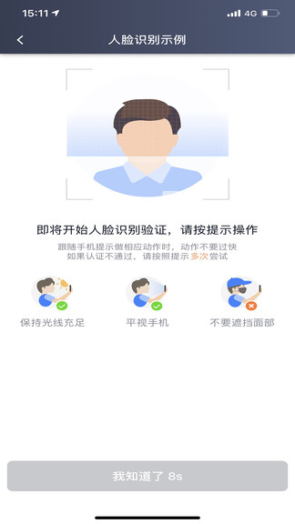 大雁出行图2