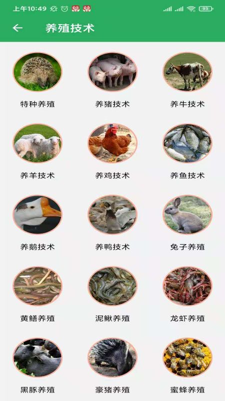 俺们村手机版图2