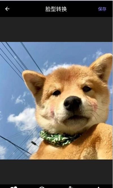 momo复古滤镜app图2