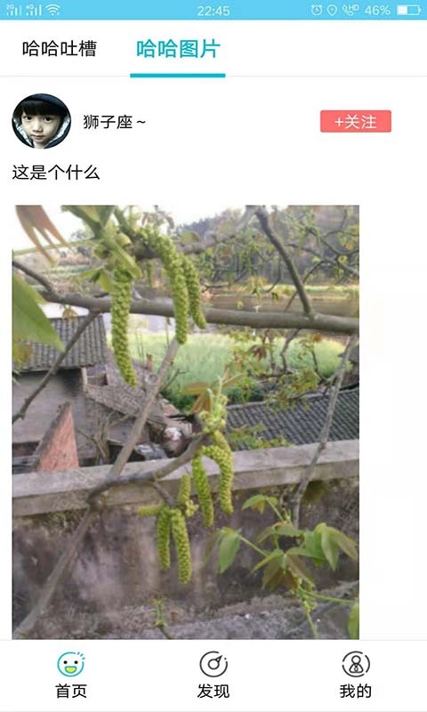 哈哈神吐槽图4