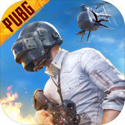 pubg国际服