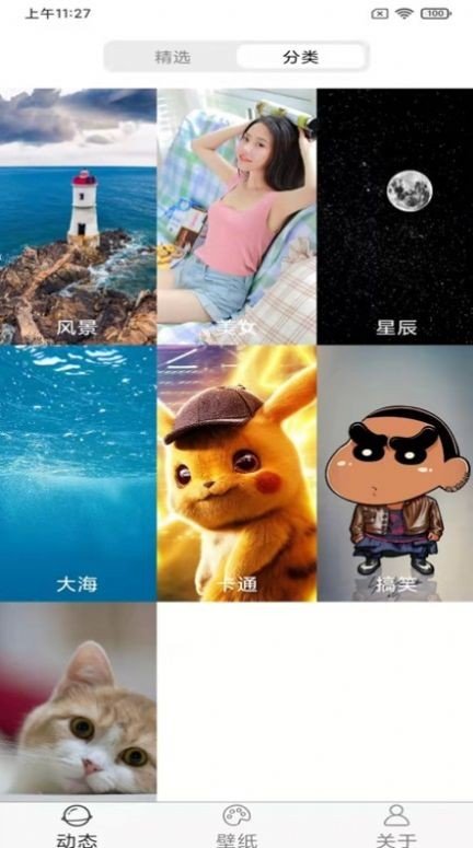 飞花动态壁纸图3