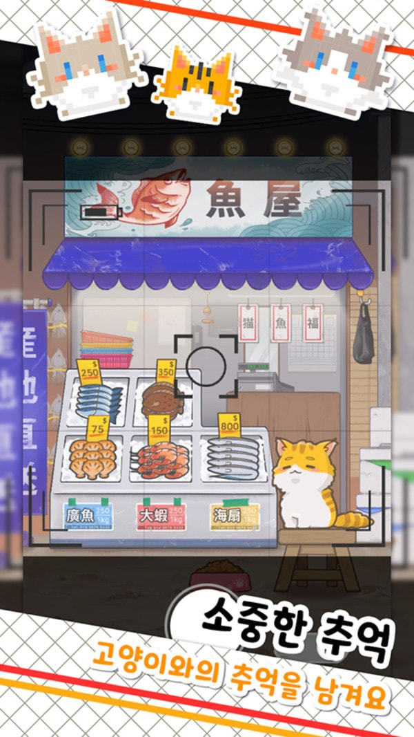 鱼店猫老板图1