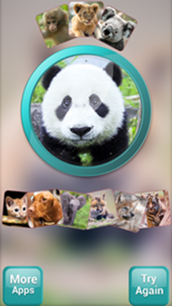 我的前世今生图4