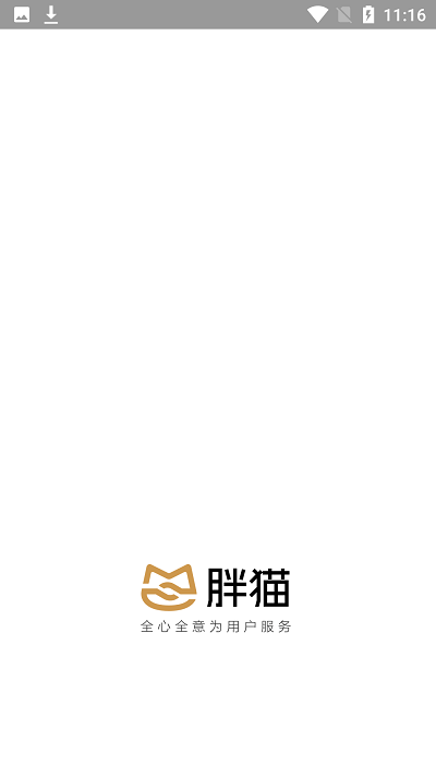 胖猫