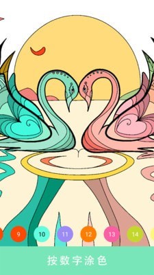 Coloraxy软件APP官方版图4
