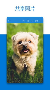 OneDrive手机版图1