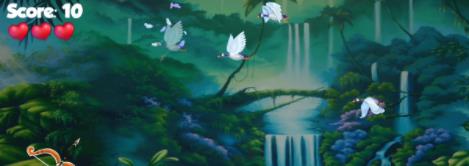 射鸭射鸟游戏安卓版（BirdHunting）图2
