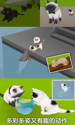 猫猫与鲨鱼图3