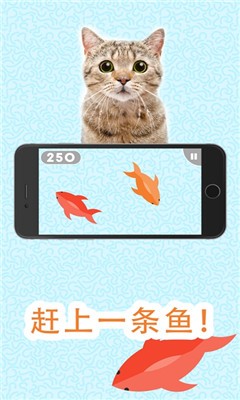 GamesForCats图1