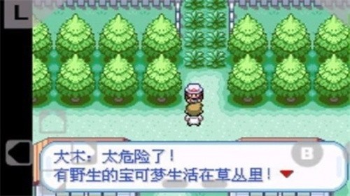 口袋妖怪火红手机版图1