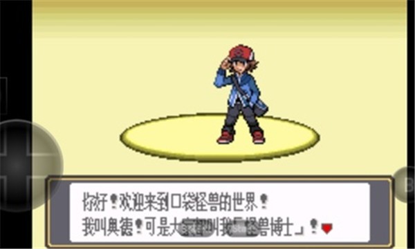 口袋妖怪黑白随机版图2
