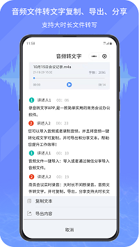 钉乐音频转写文字图2
