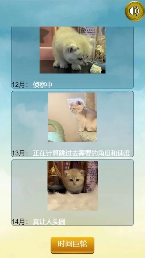 猫的一生重启模拟器图3