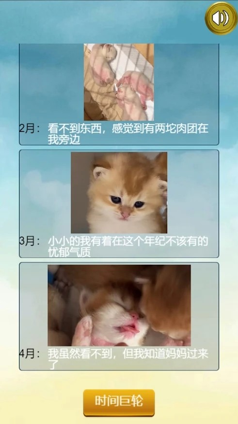 猫的一生重启模拟器图5