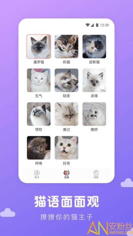 猫语翻译君免费版