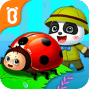 奇妙昆虫日记手机版