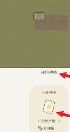 遇见我的猫怎么获得种子