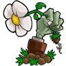 植物大战僵尸lz重制版lzscpvz图标