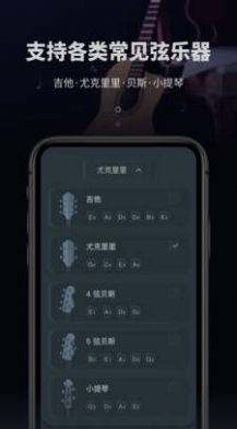 吉他电子调音器app手机版图1