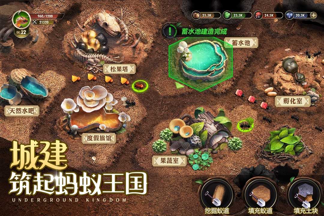 小小蚁国破解版内购破解版图3