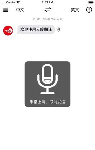 云岭翻译app瑞丽抗疫专用版