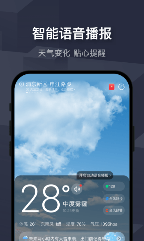 飞鱼天气图4