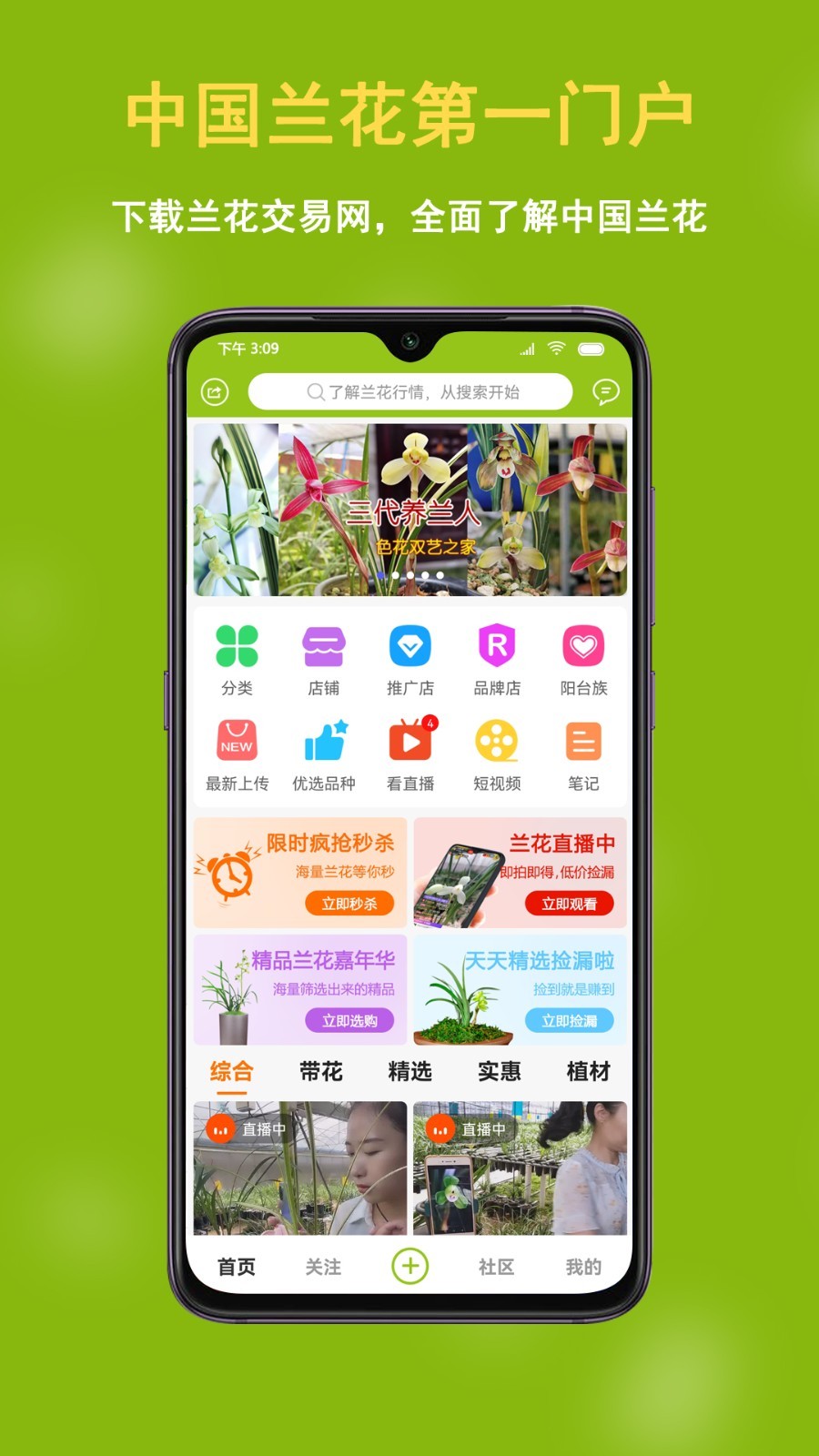 中国兰花交易网图1