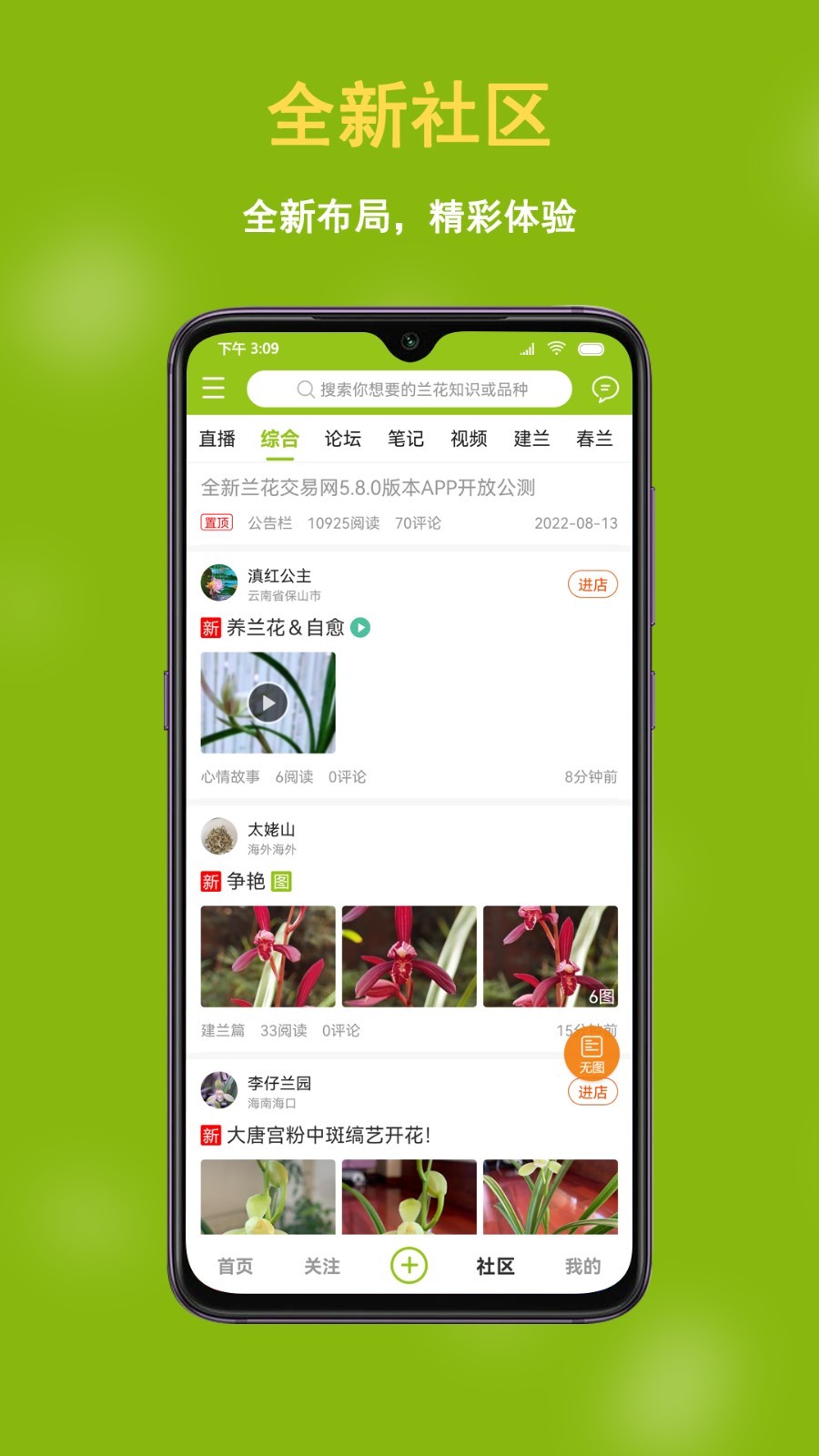 中国兰花交易网图2