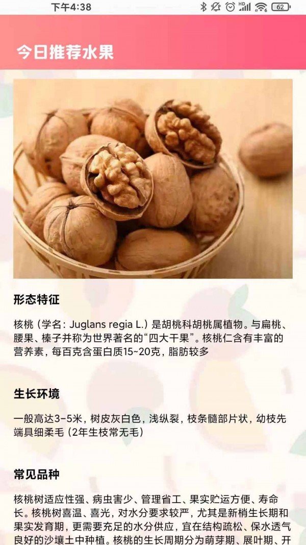 西瓜对对碰图3