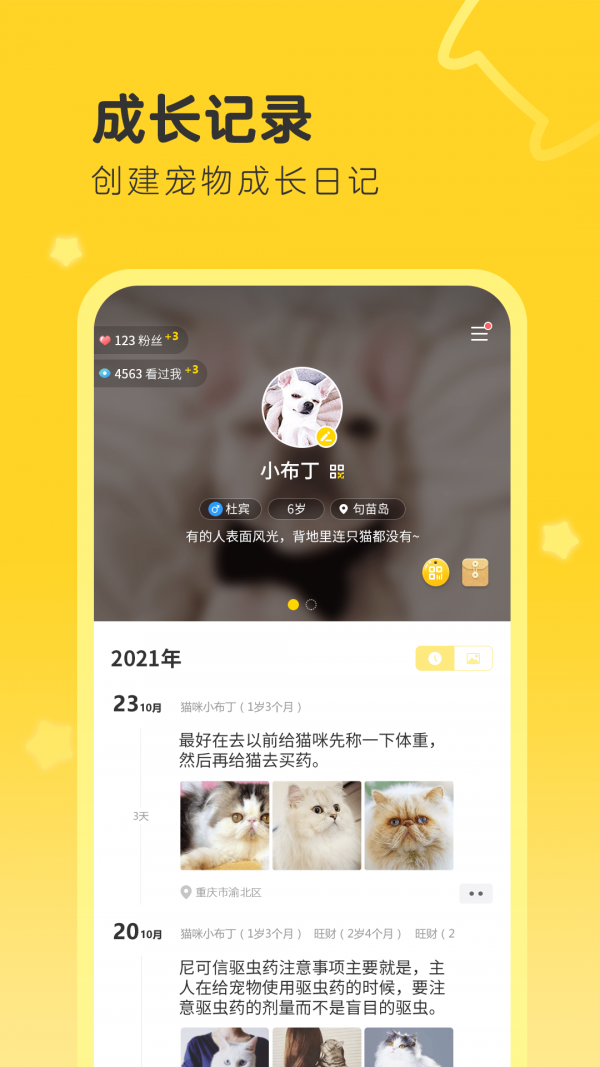 句苗岛官网版图4