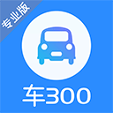 车300二手车软件
