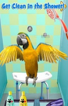 新生宠物兽医图1
