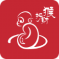 捞财猴app安卓版