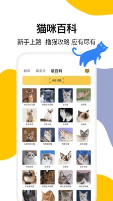 猫语翻译大全图3