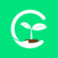 苍珥app手机版