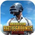 PUBG国际服手游正版(PUBG MOBILE)