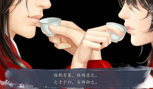 东宫侧妃图3