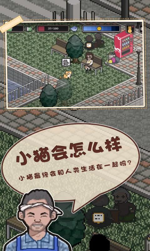 邦戈猫最新版