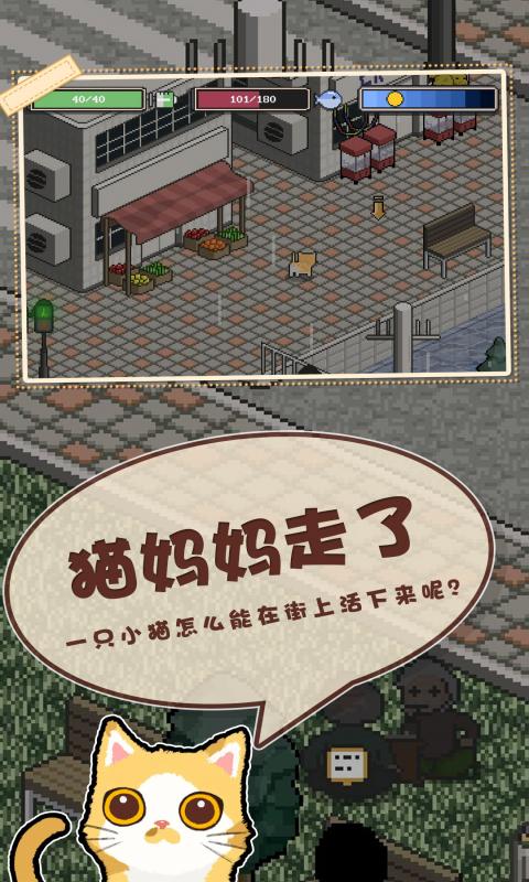 邦戈猫最新版