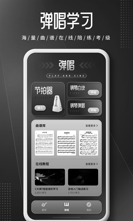 钢琴师Piano图2