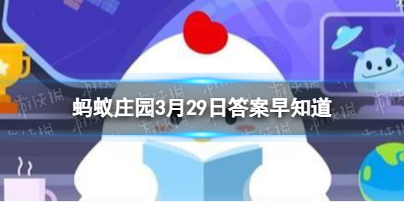 春季锻炼小贴士∶想要避免跑步岔气﹐哪种做法更有效 蚂蚁庄园3月29日答案早知道