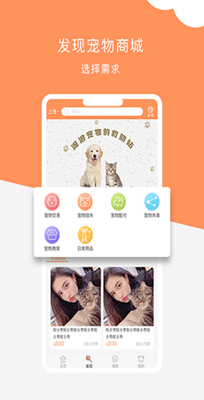 栖宠app官网版