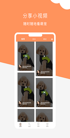 栖宠app官网版图4